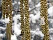 Zdjęcie przedstawia: